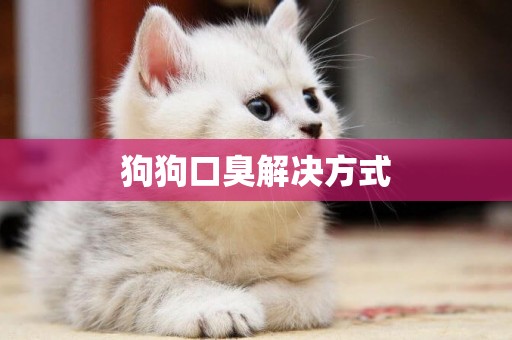 狗狗口臭解決方式