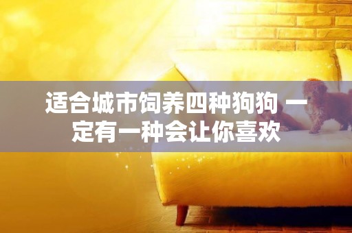 適合城市飼養四種狗狗 一定有一種會讓你喜歡
