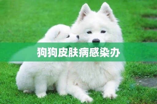 狗狗皮膚病感染辦
