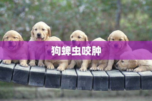 狗蜱蟲咬腫