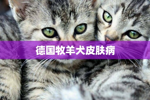 德國牧羊犬皮膚病