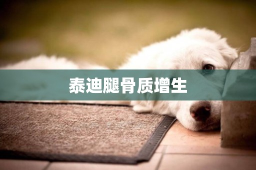 泰迪腿骨質增生
