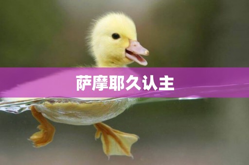 薩摩耶久認主