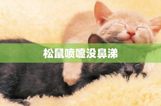 松鼠噴嚏沒鼻涕