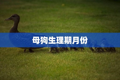 母狗生理期月份