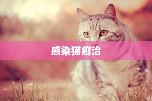 感染貓癬治