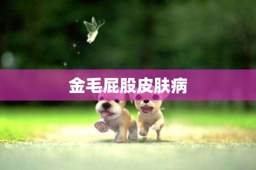 金毛屁股皮膚病