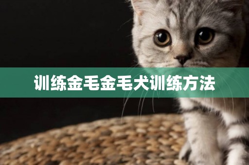 訓練金毛金毛犬訓練方法