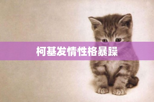 柯基發情性格暴躁