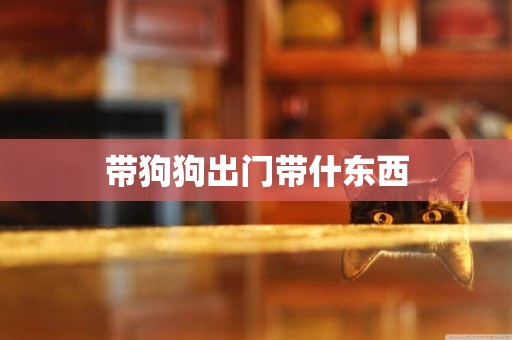 帶狗狗出門帶什東西