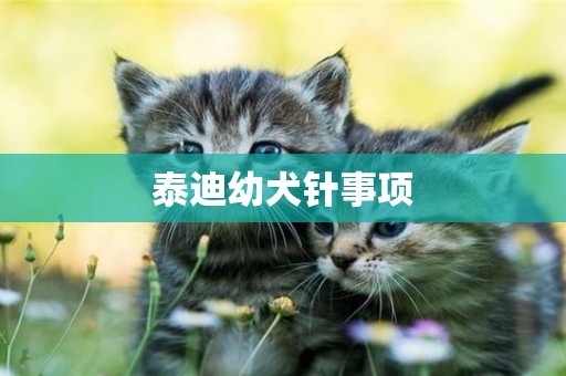 泰迪幼犬針事項