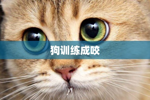 狗訓練成咬