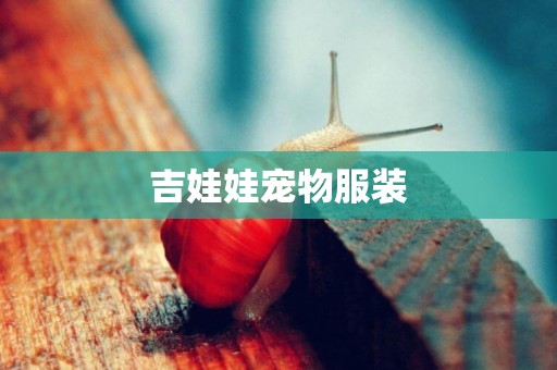 吉娃娃寵物服裝