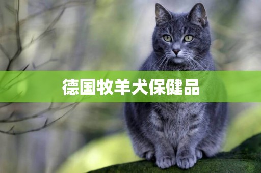 德國牧羊犬保健品