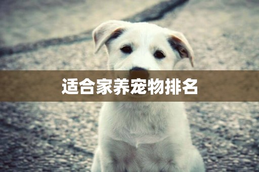 適合家養寵物排名