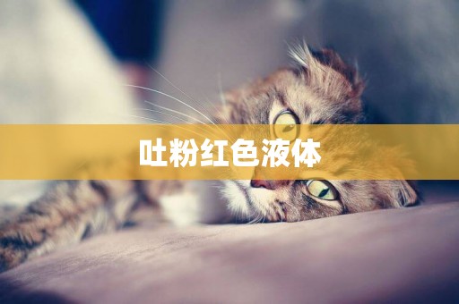 吐粉紅色液體