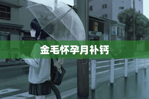 金毛懷孕月補鈣