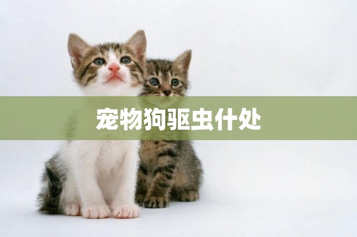 寵物狗驅蟲什處