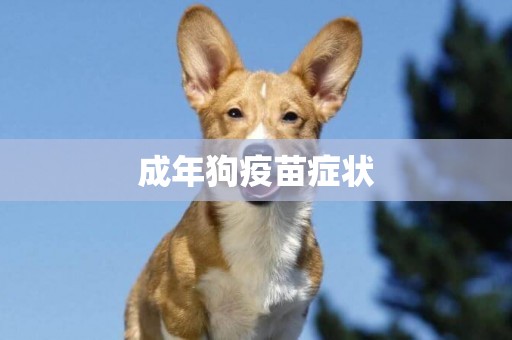 成年狗疫苗癥狀
