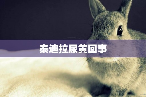 泰迪拉尿黃回事