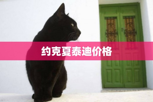 約克夏泰迪價格