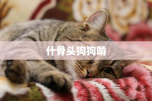 什骨頭狗狗啃