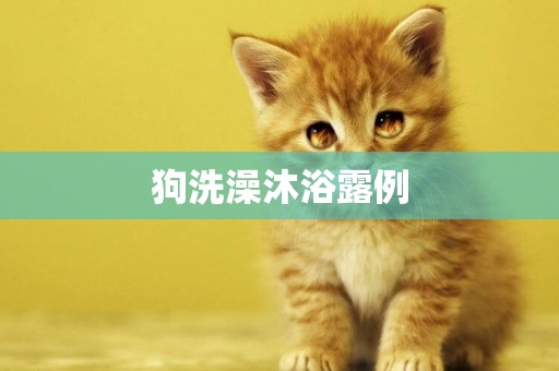 狗洗澡沐浴露例