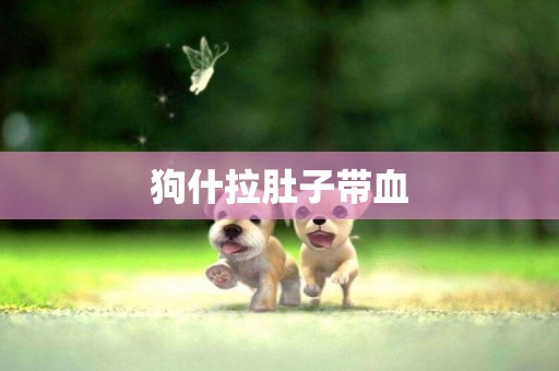 狗什拉肚子帶血