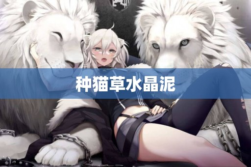 種貓草水晶泥