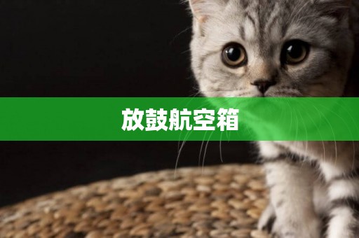 放鼓航空箱