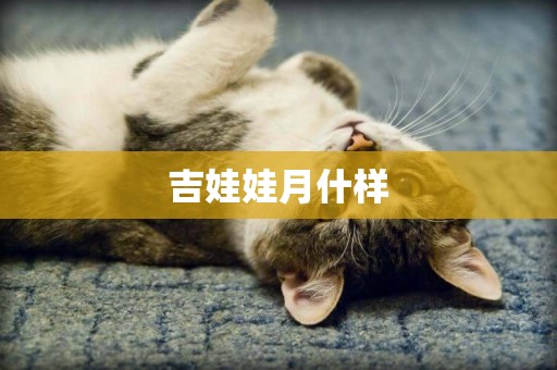 吉娃娃月什樣
