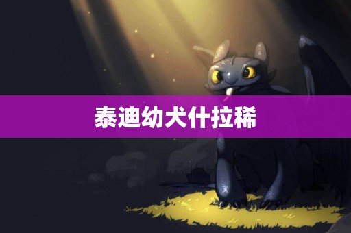 泰迪幼犬什拉稀