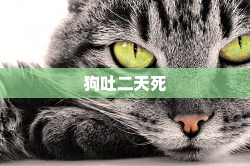 狗吐二天死