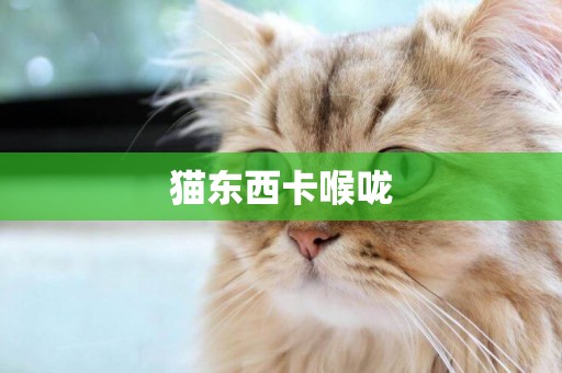 貓東西卡喉嚨