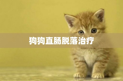 狗狗直腸脫落治療