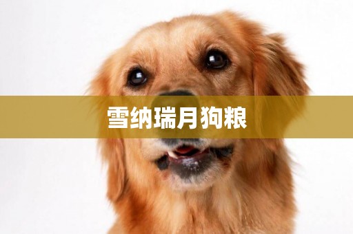 雪納瑞月狗糧