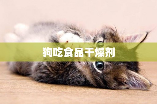 狗吃食品干燥劑