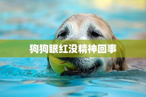 狗狗眼紅沒精神回事
