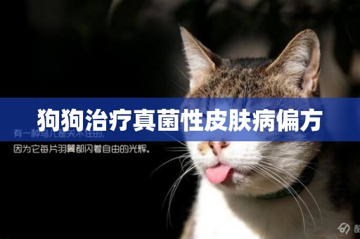 狗狗治療真菌性皮膚病偏方