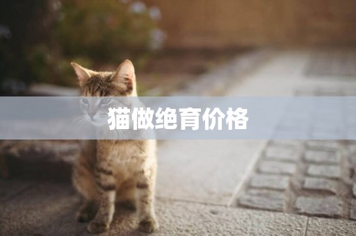 貓做絕育價格