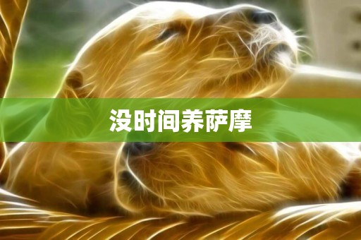 沒時間養薩摩