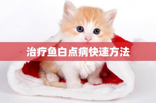 治療魚白點病快速方法