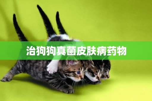 治狗狗真菌皮膚病藥物