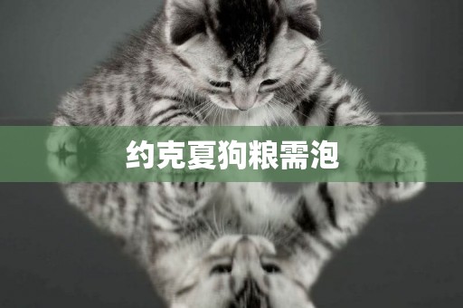 約克夏狗糧需泡