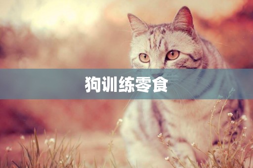 狗訓練零食