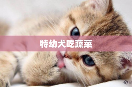 特幼犬吃蔬菜