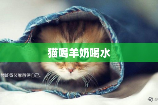 貓喝羊奶喝水