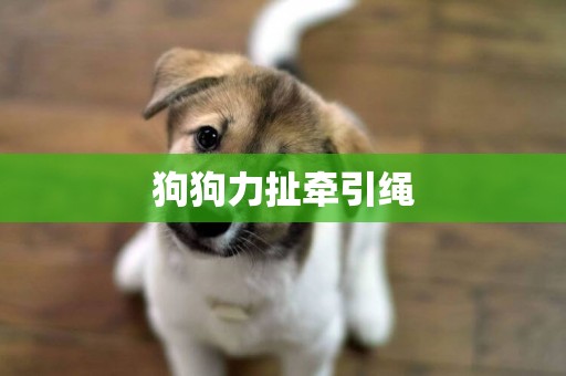 狗狗力扯牽引繩