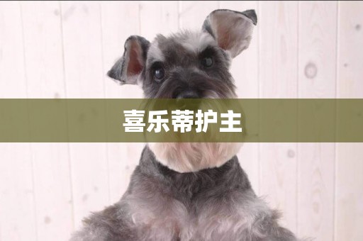 喜樂蒂護主