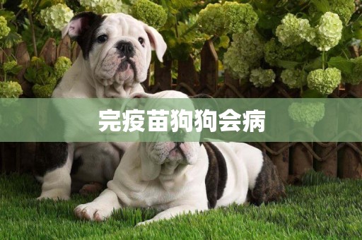 完疫苗狗狗會病